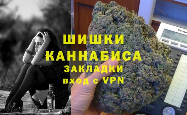 PSILOCYBIN Снежногорск