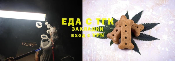 прущие грибы Вязьма