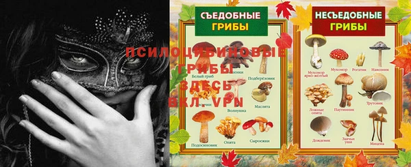 PSILOCYBIN Снежногорск