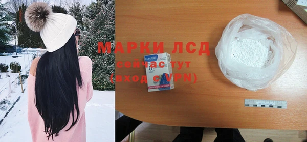 прущие грибы Вязьма