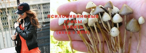 метадон Слюдянка