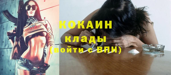 прущие грибы Вязьма
