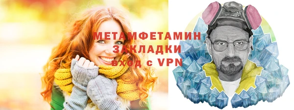 прущие грибы Вязьма
